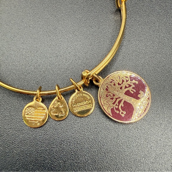 Alex and Ani Tree of Life 2015 Charm Bangle Bracelet - Picture 4 of 10